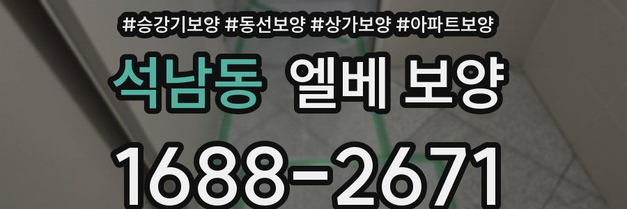 석남동 엘베 보양
