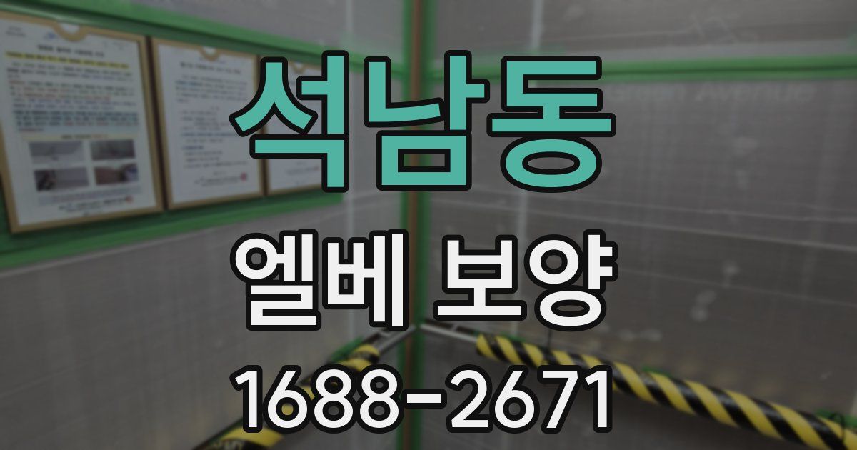 석남동 엘베 보양