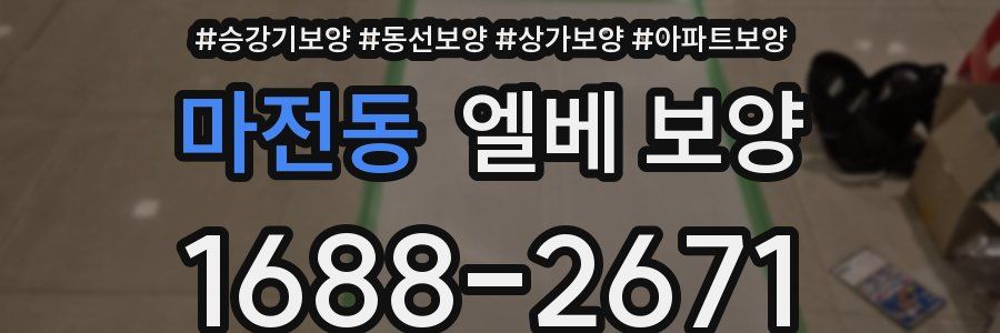 마전동 엘베 보양