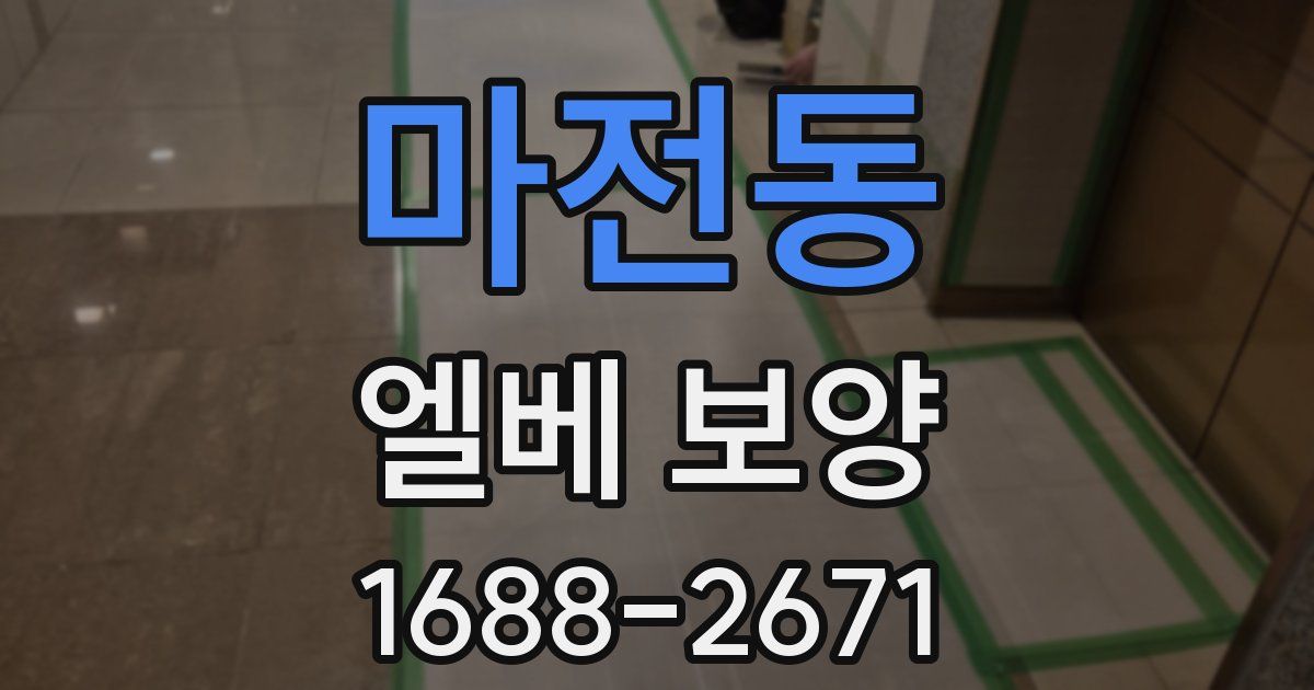 마전동 엘베 보양