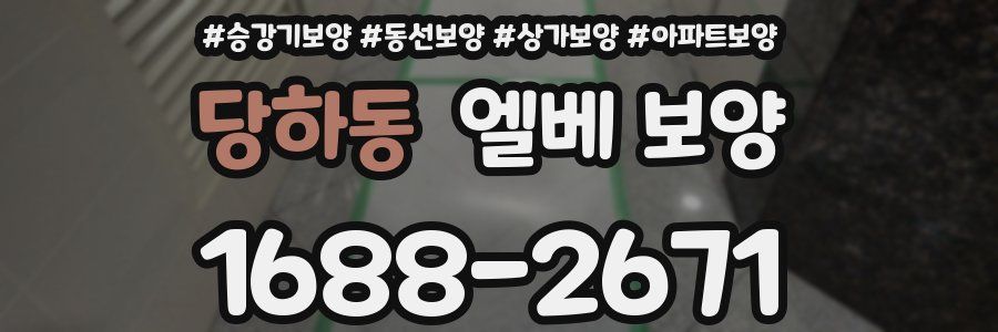 당하동 엘베 보양