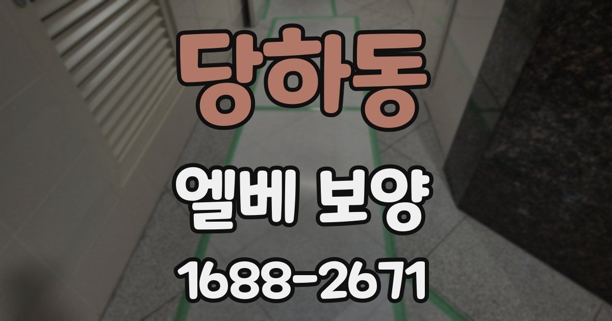 당하동 엘베 보양