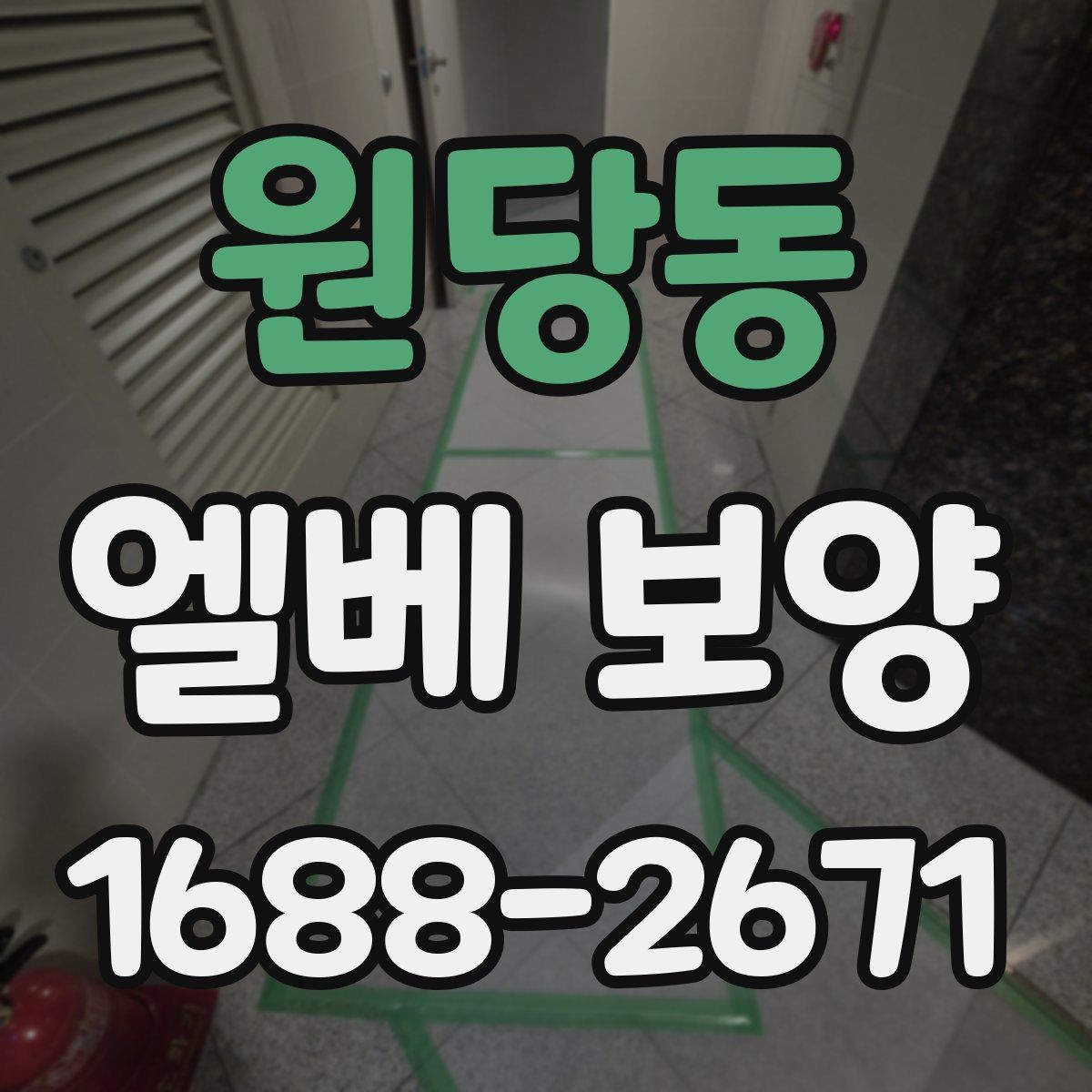 원당동 엘베 보양 현장마다 달라지는 보호 범위와 순서