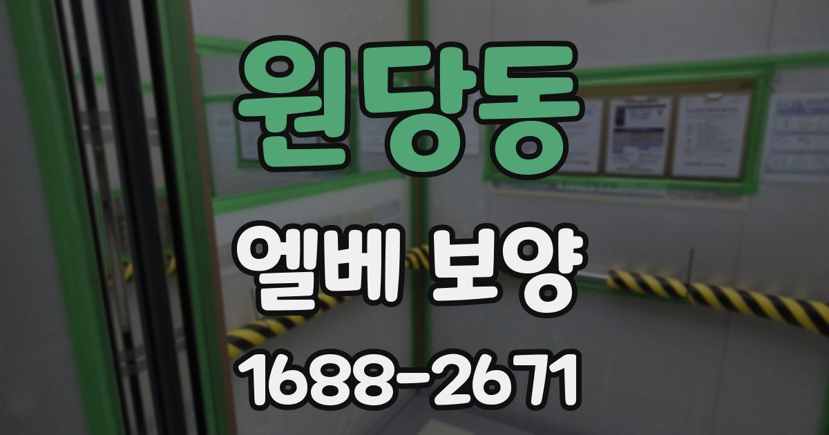 원당동 엘베 보양