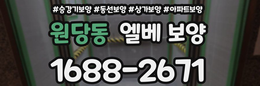 원당동 엘베 보양
