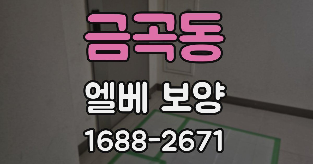 금곡동 엘베 보양