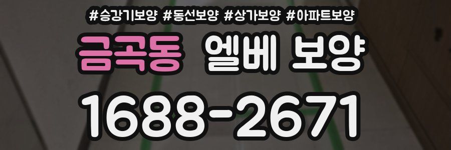 금곡동 엘베 보양