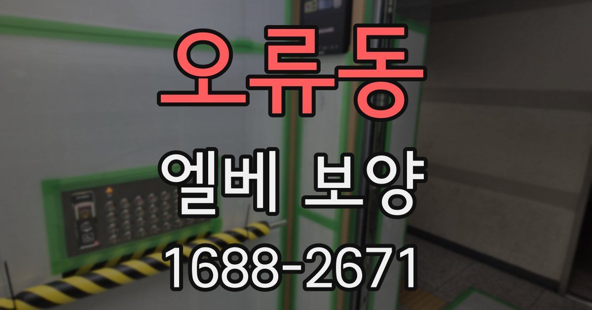 오류동 엘베 보양