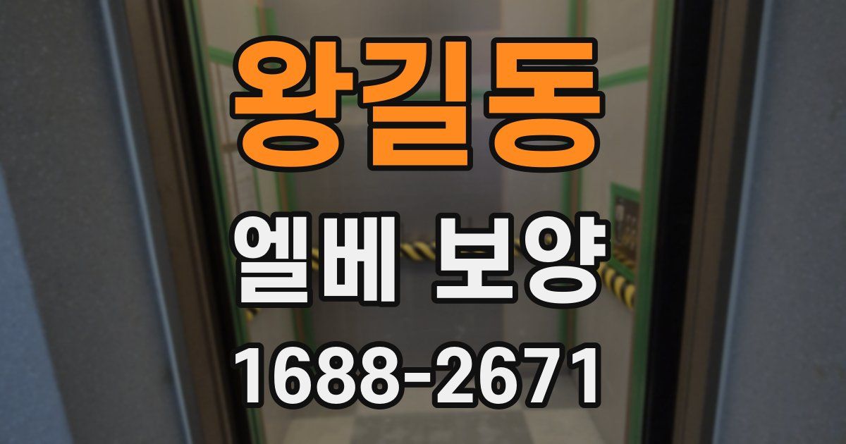 왕길동 엘베 보양