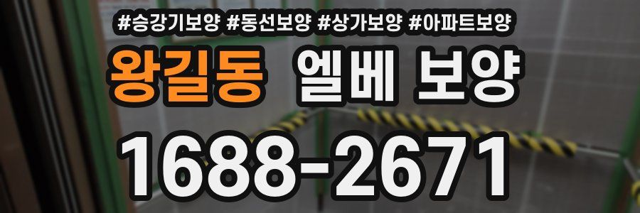 왕길동 엘베 보양