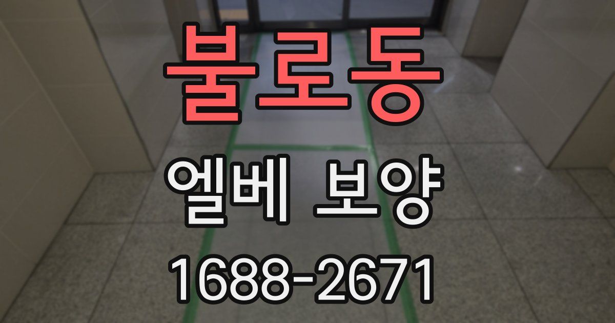 불로동 엘베 보양