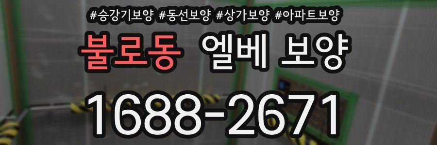 불로동 엘베 보양
