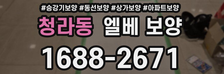 청라동 엘베 보양