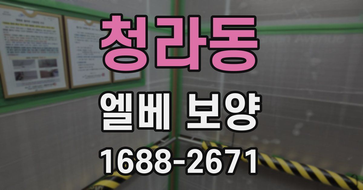 청라동 엘베 보양