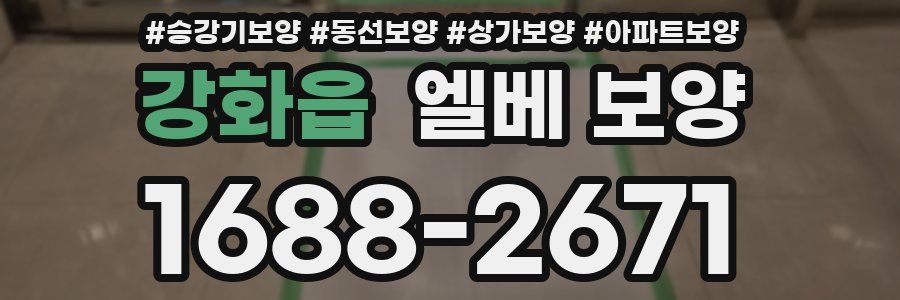 강화읍 엘베 보양