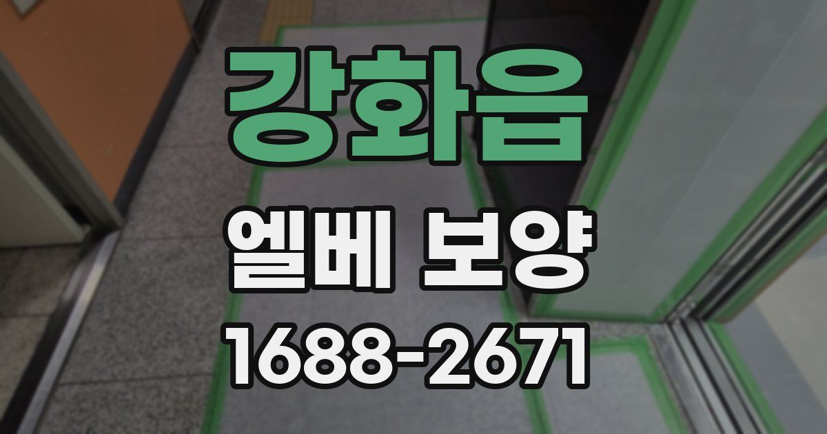 강화읍 엘베 보양