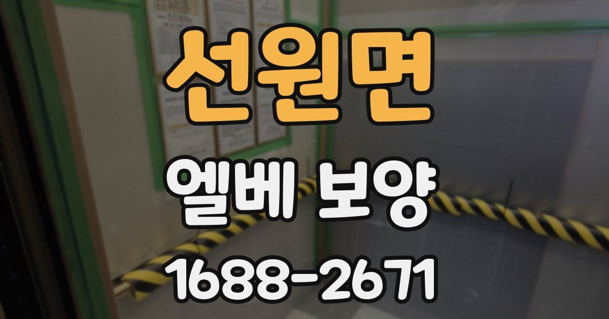 선원면 엘베 보양