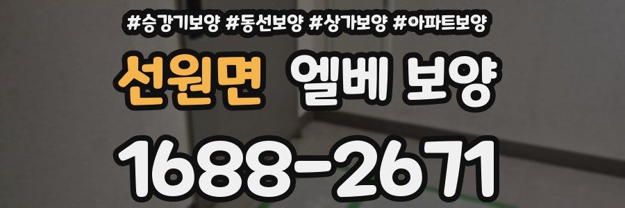 선원면 엘베 보양