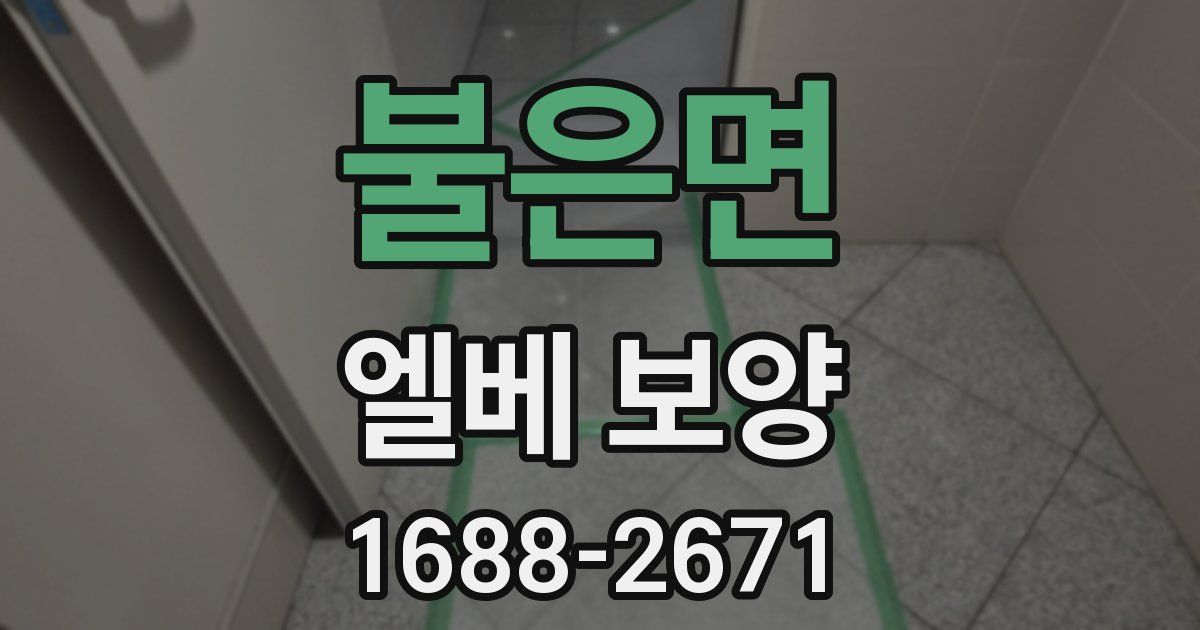 불은면 엘베 보양