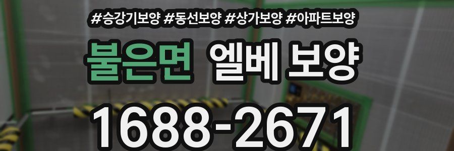불은면 엘베 보양
