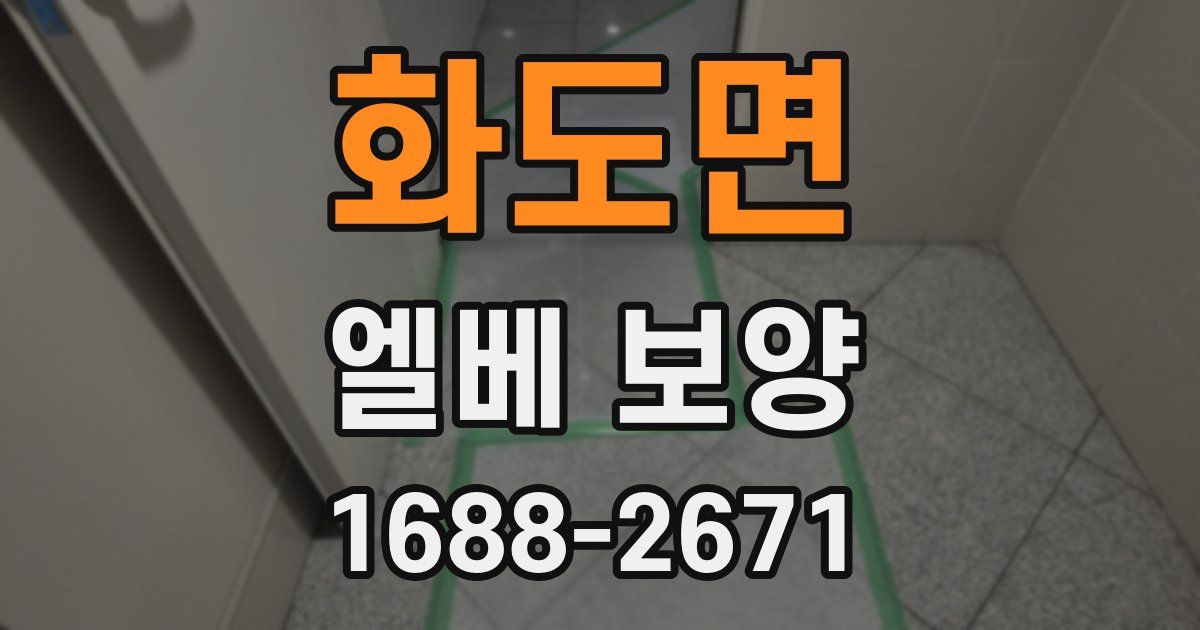 화도면 엘베 보양