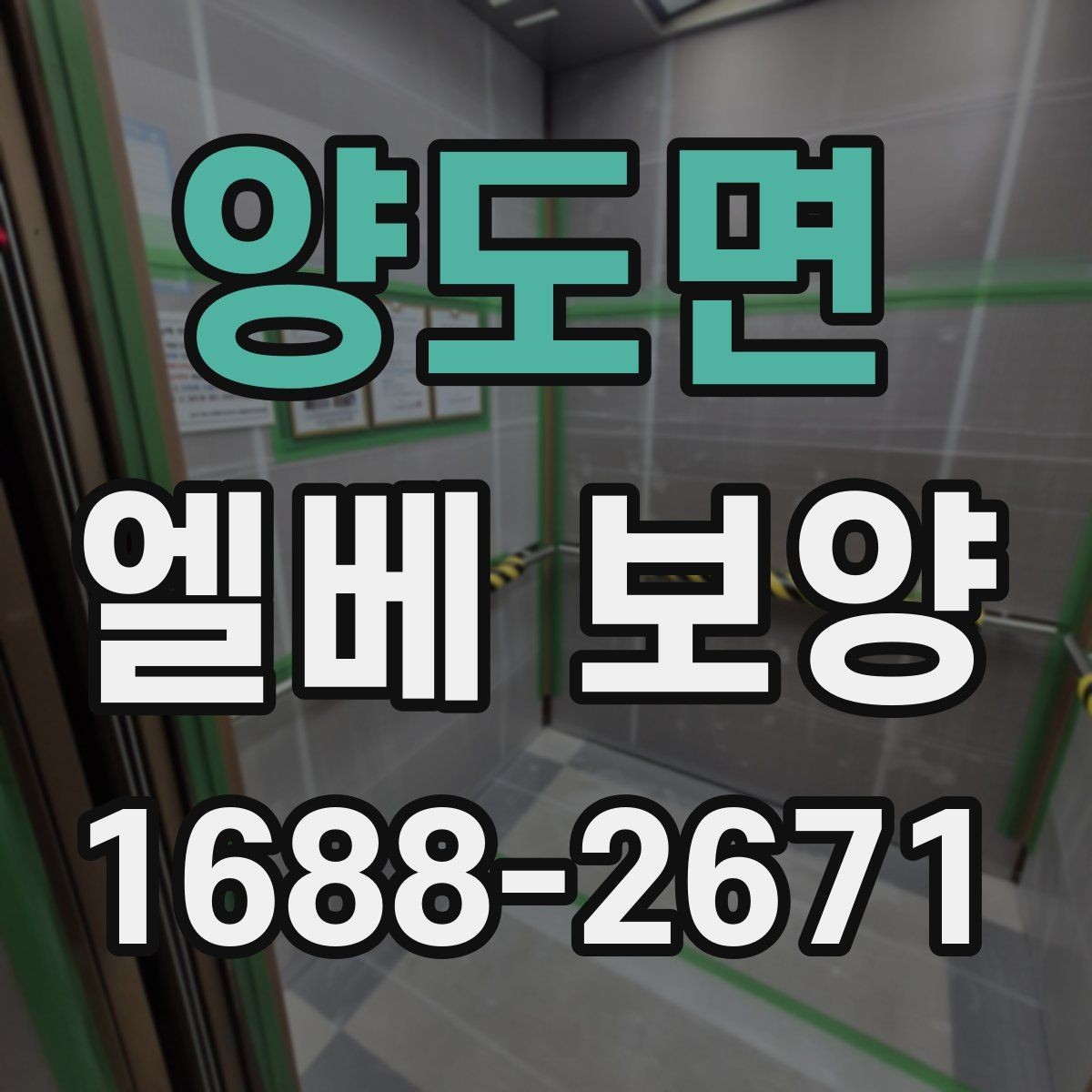 양도면 엘베 보양 실내 인테리어 공정과 함께 볼 보호 포인트