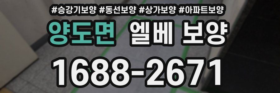 양도면 엘베 보양