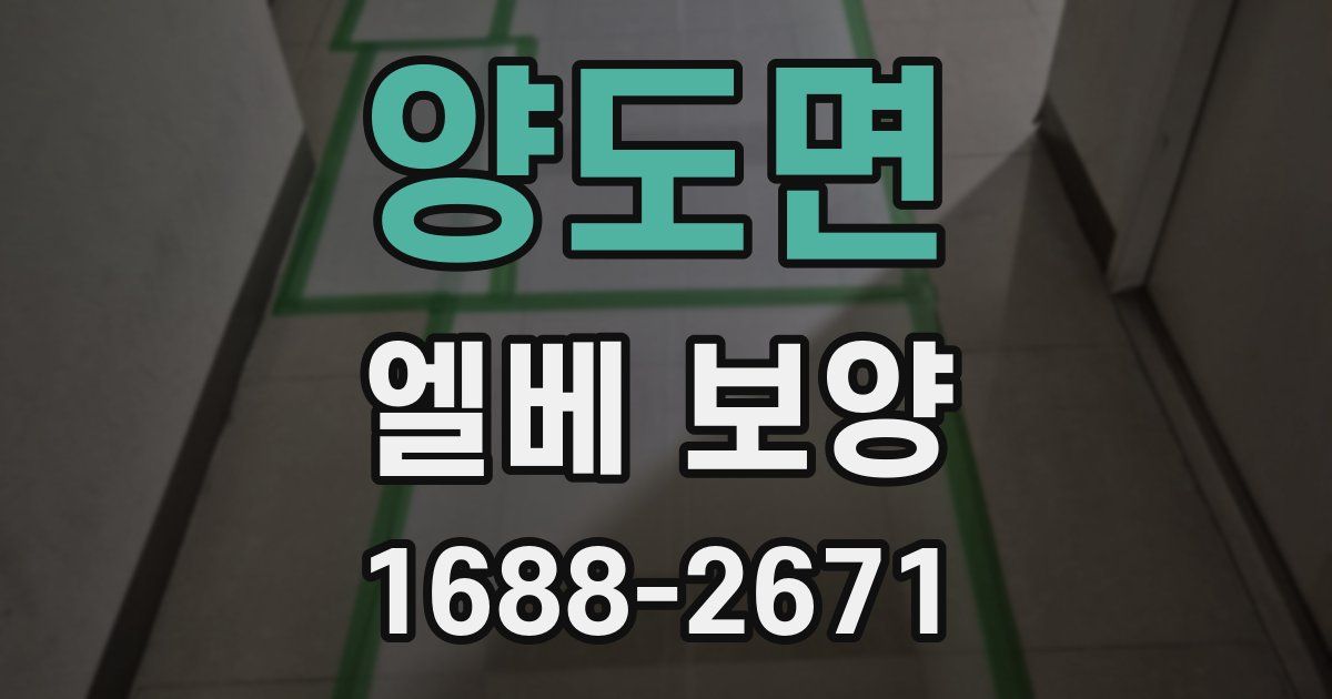 양도면 엘베 보양