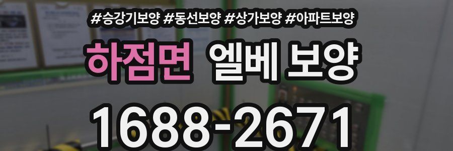 하점면 엘베 보양