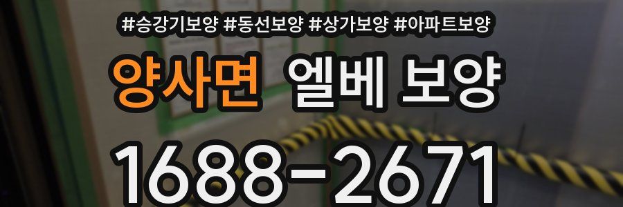 양사면 엘베 보양