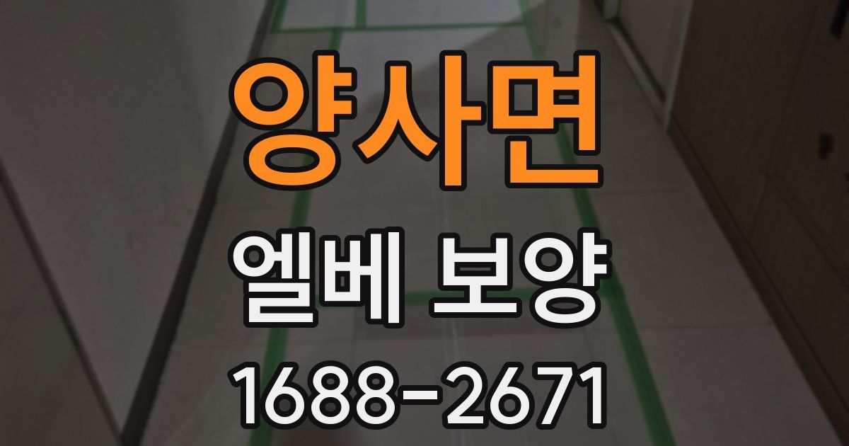 양사면 엘베 보양