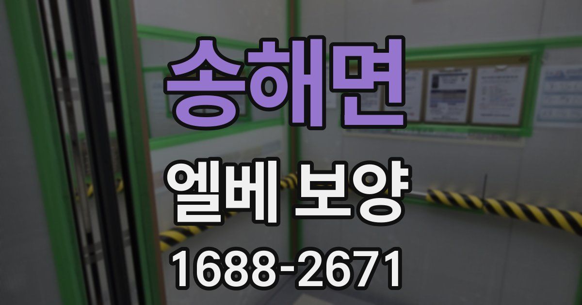 송해면 엘베 보양
