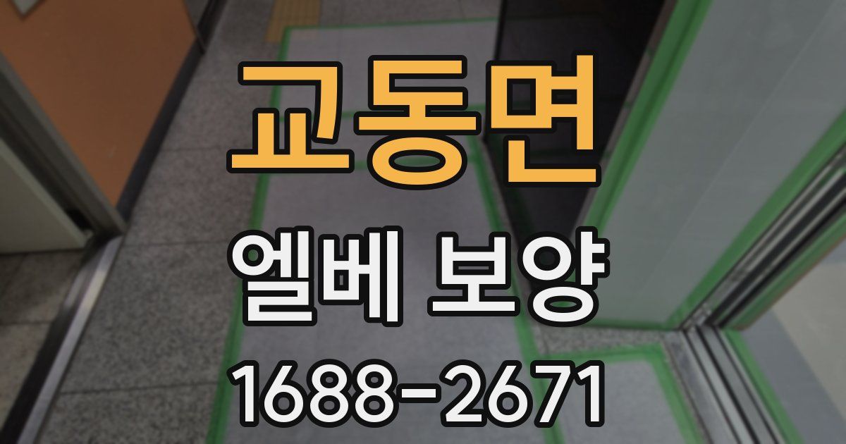 교동면 엘베 보양