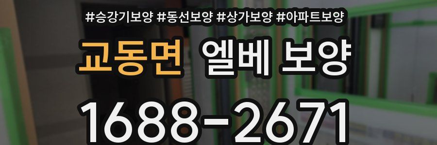 교동면 엘베 보양