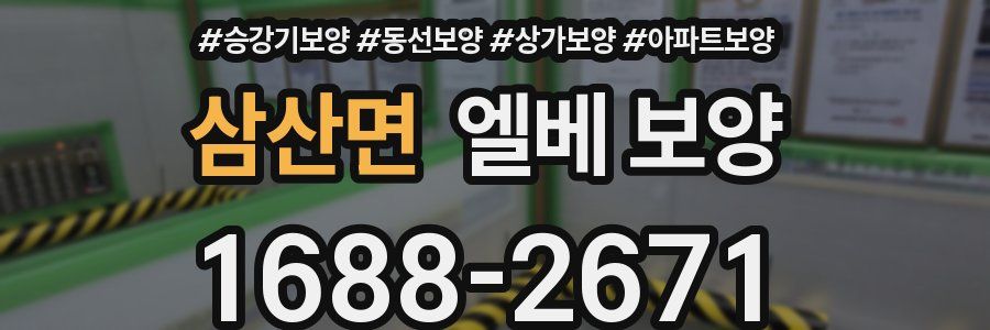 삼산면 엘베 보양