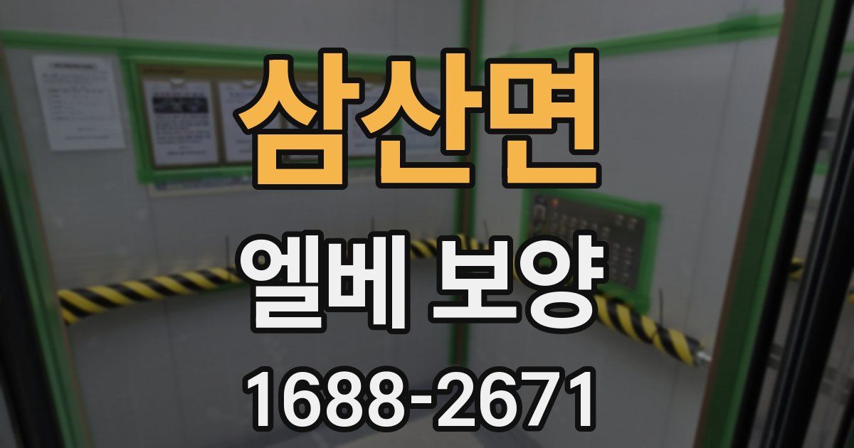 삼산면 엘베 보양