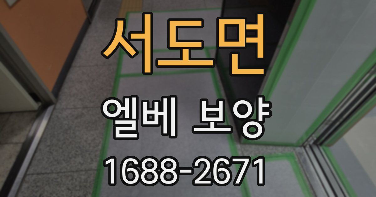 서도면 엘베 보양