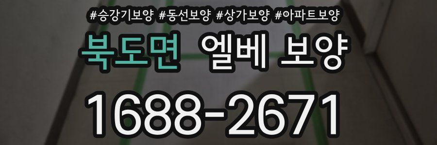 북도면 엘베 보양