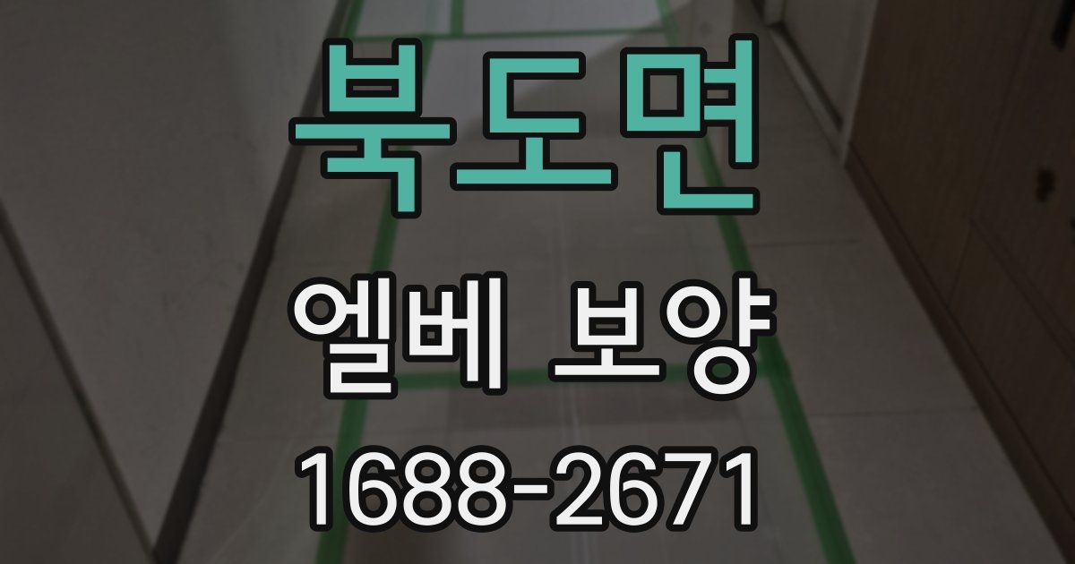 북도면 엘베 보양