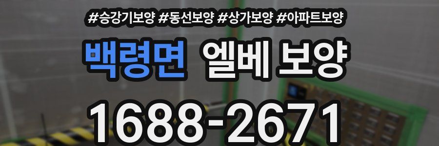 백령면 엘베 보양
