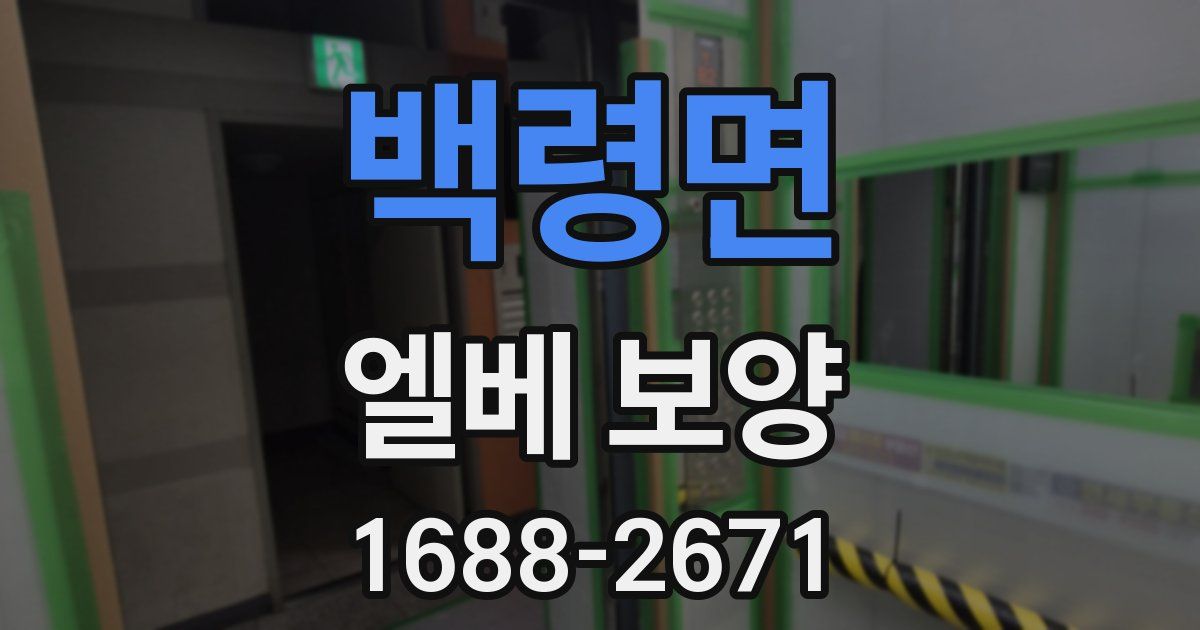 백령면 엘베 보양