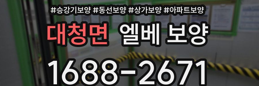 대청면 엘베 보양