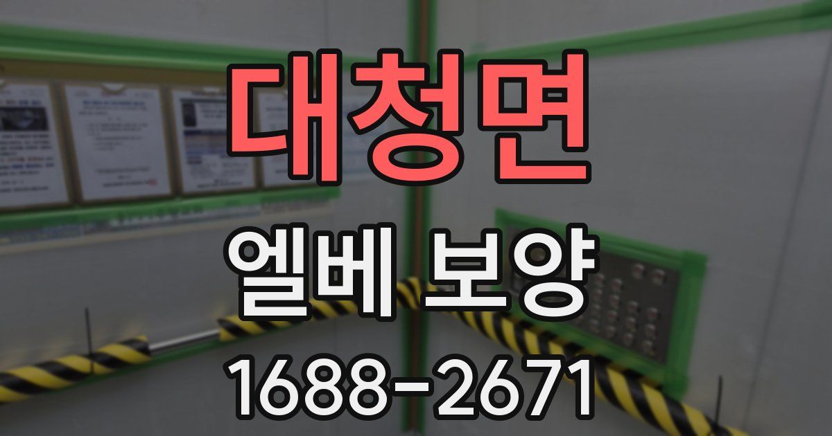 대청면 엘베 보양
