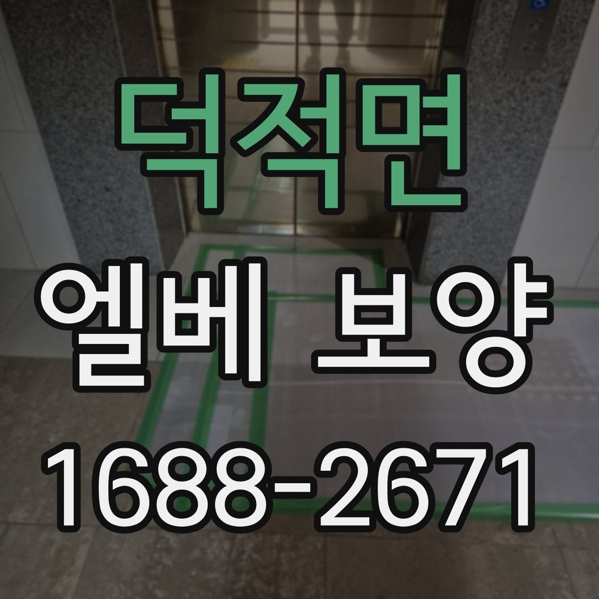 덕적면 엘베 보양 보양 사진 기록이 필요한 이유