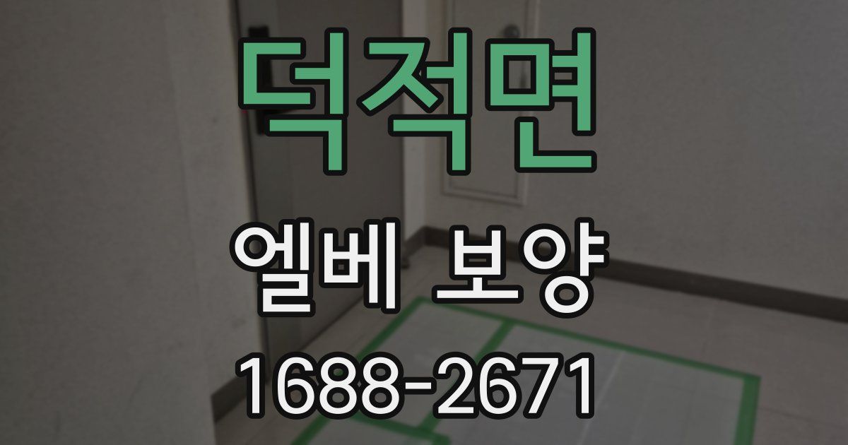 덕적면 엘베 보양