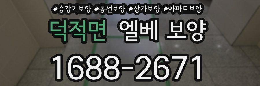 덕적면 엘베 보양