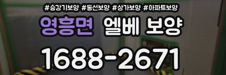 영흥면 엘베 보양