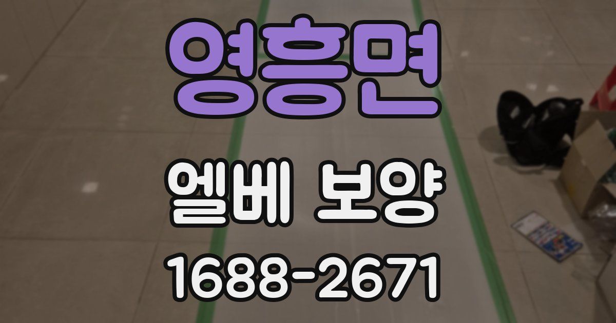 영흥면 엘베 보양