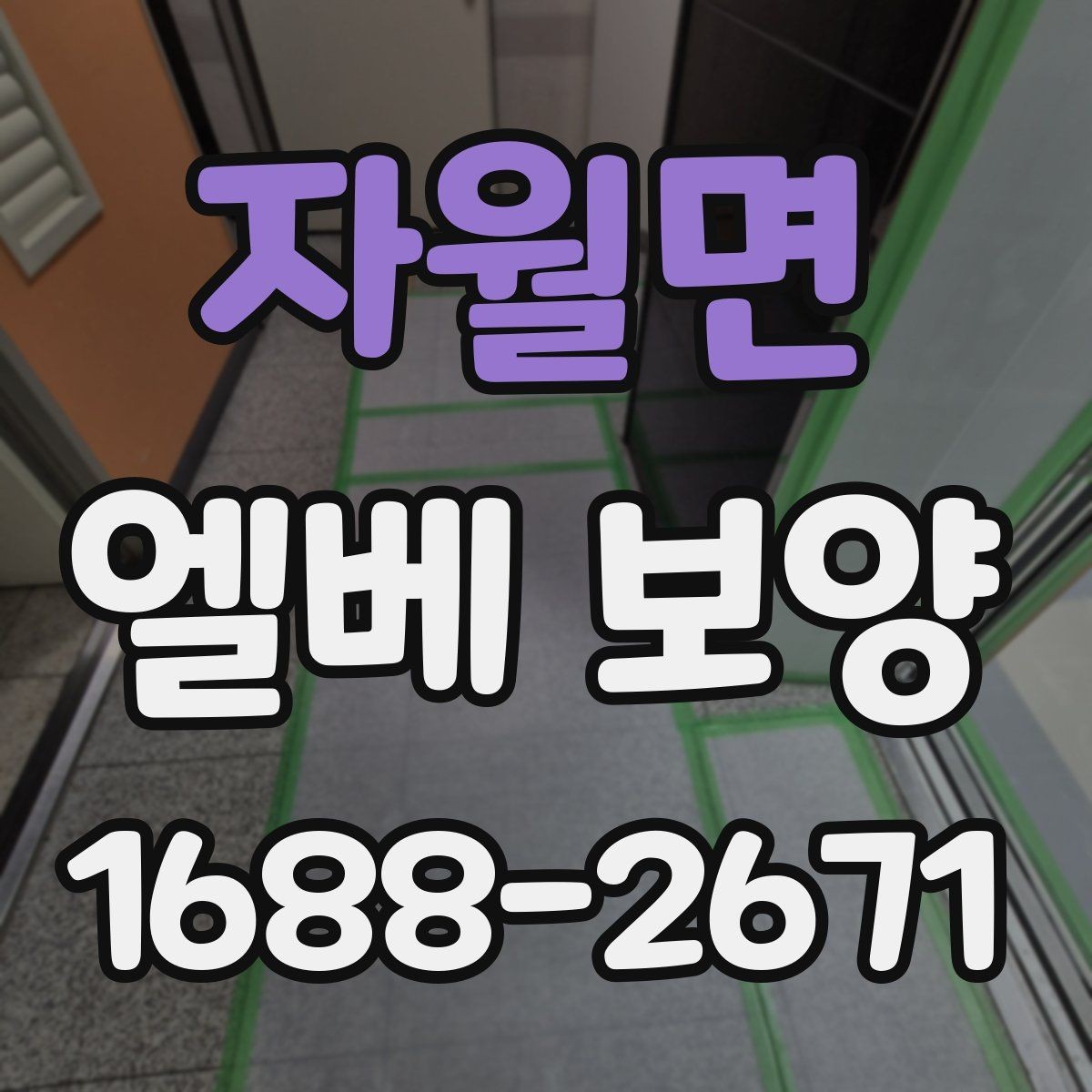 자월면 엘베 보양 승강기 내부 오염원 차단 포인트
