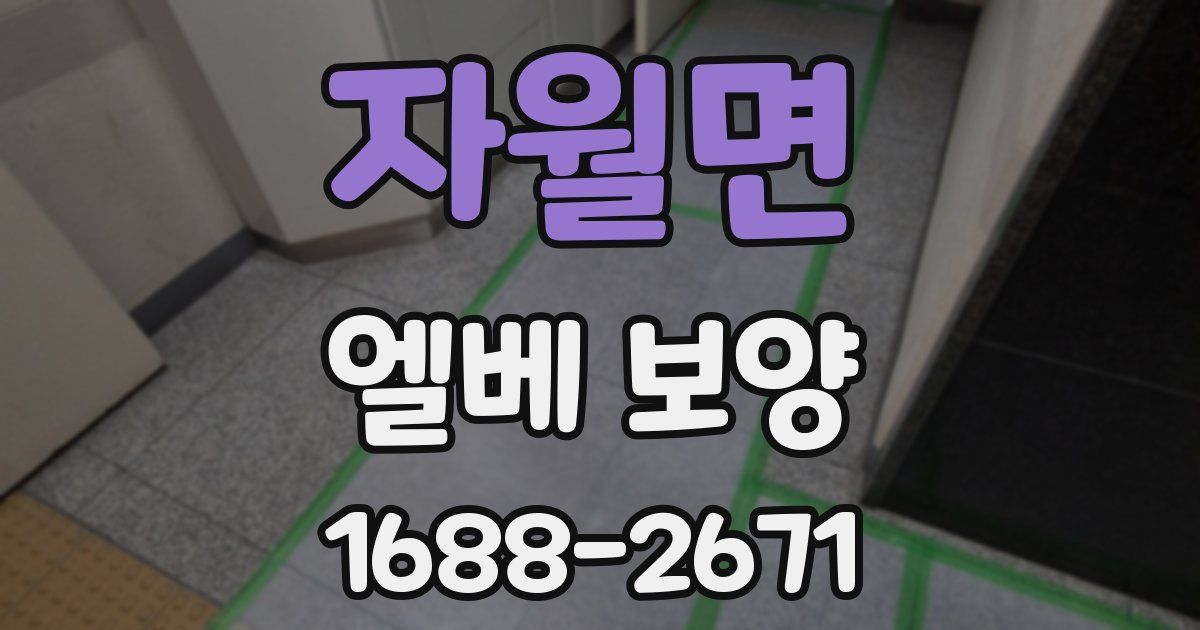 자월면 엘베 보양
